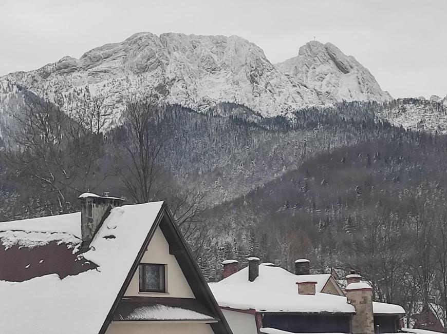 Arnika Wynajem Pokoi Apartment Zakopane Luaran gambar