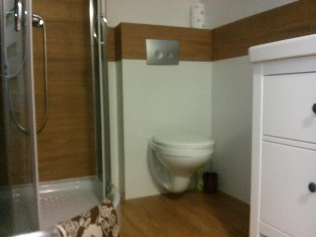 Arnika Wynajem Pokoi Apartment Zakopane Luaran gambar