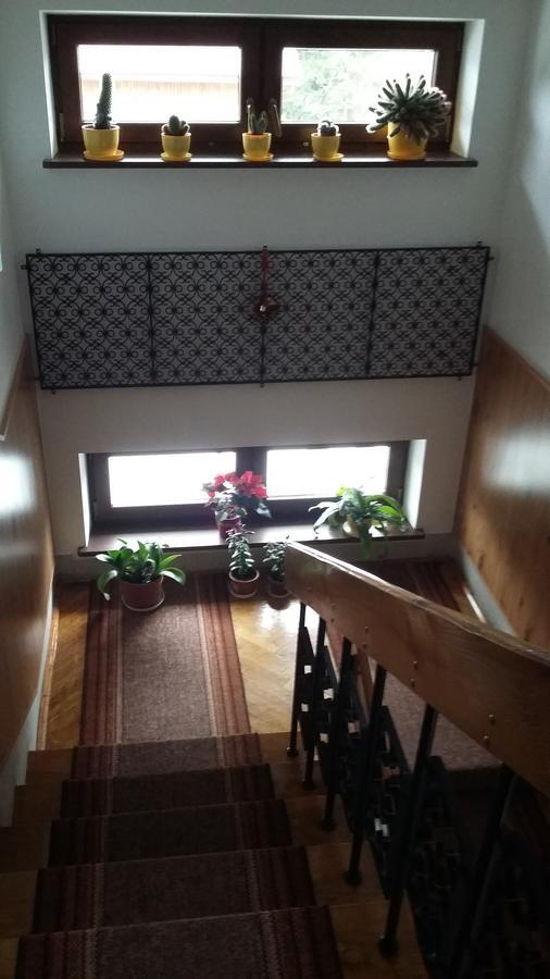 Arnika Wynajem Pokoi Apartment Zakopane Luaran gambar