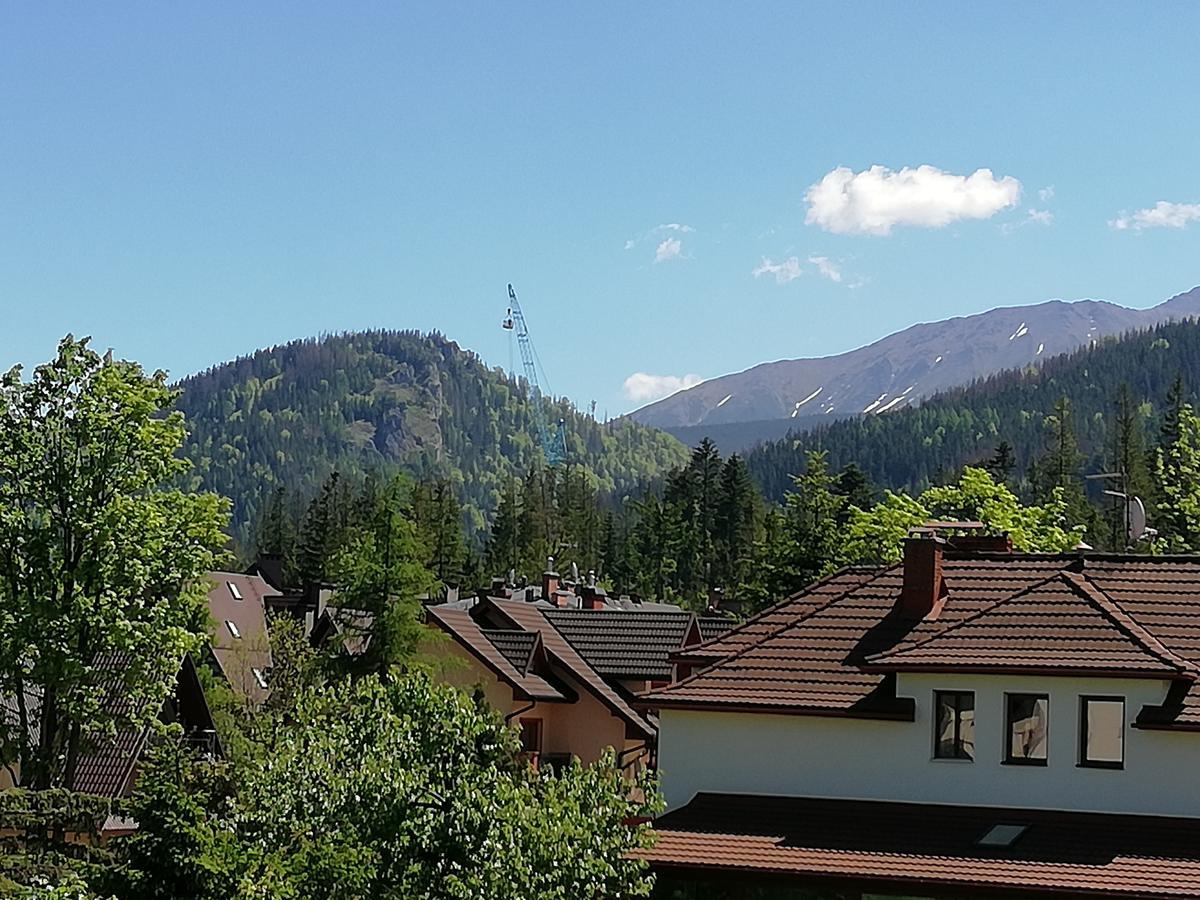 Arnika Wynajem Pokoi Apartment Zakopane Luaran gambar